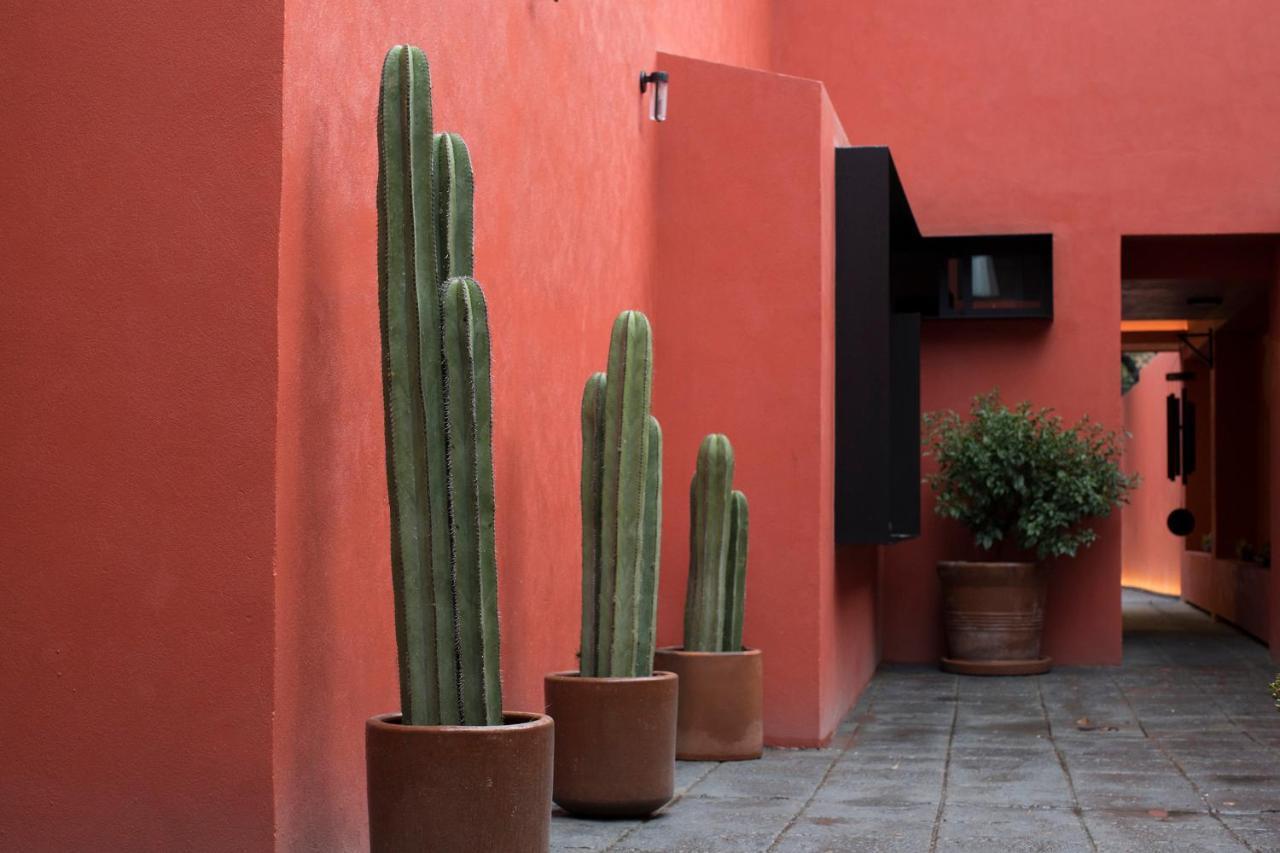 Tonalli Casa Boutique Mexico By Eksteriør billede